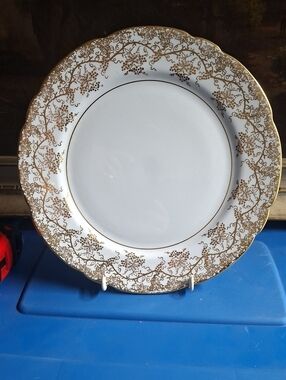 Vintage Royal Stafford "GRAPE VINE" Dinner Plate